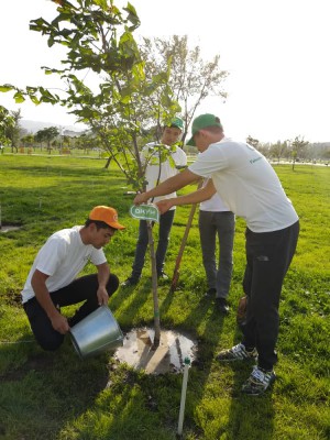 Высадка деревьев в парке «Ынтымак»